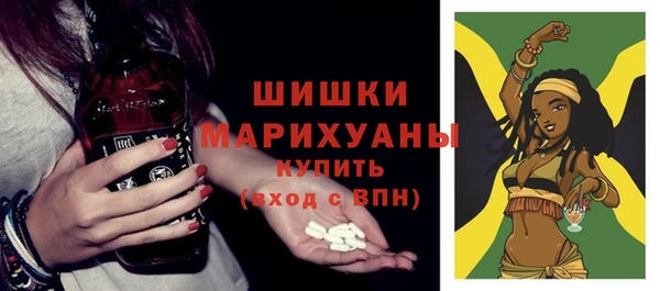 ГАЛЛЮЦИНОГЕННЫЕ ГРИБЫ Струнино