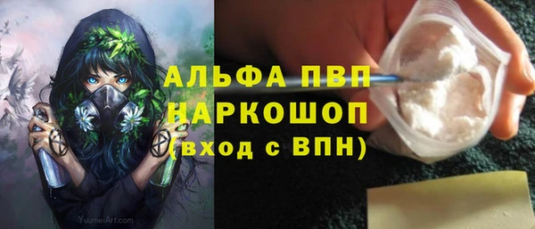 ГАЛЛЮЦИНОГЕННЫЕ ГРИБЫ Струнино