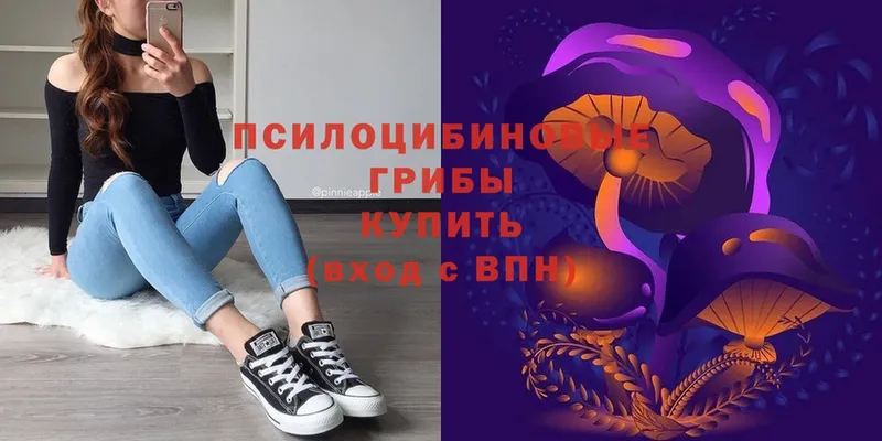 Галлюциногенные грибы Magic Shrooms  Алексеевка 