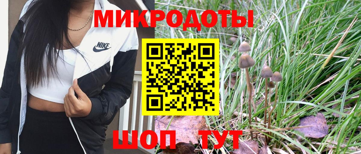 Галлюциногенные грибы прущие грибы Алексеевка